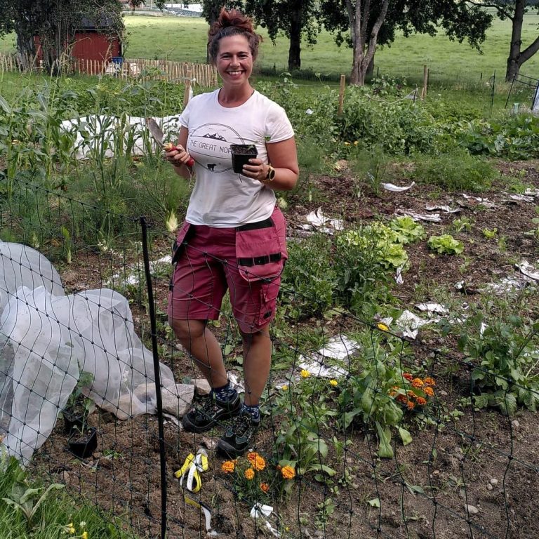 narlodlade gronsaker mariestad